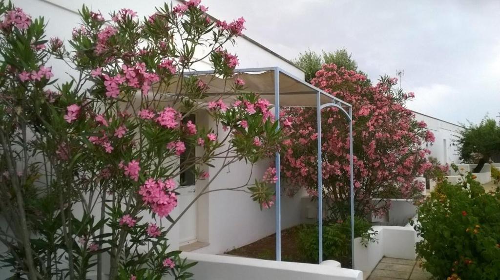 Tenuta De Marco Presicce Exterior photo
